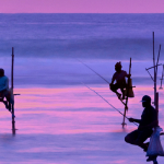Best Time to Visit Sri Lanka