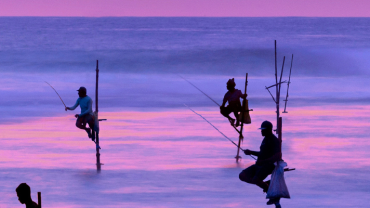 Best Time to Visit Sri Lanka
