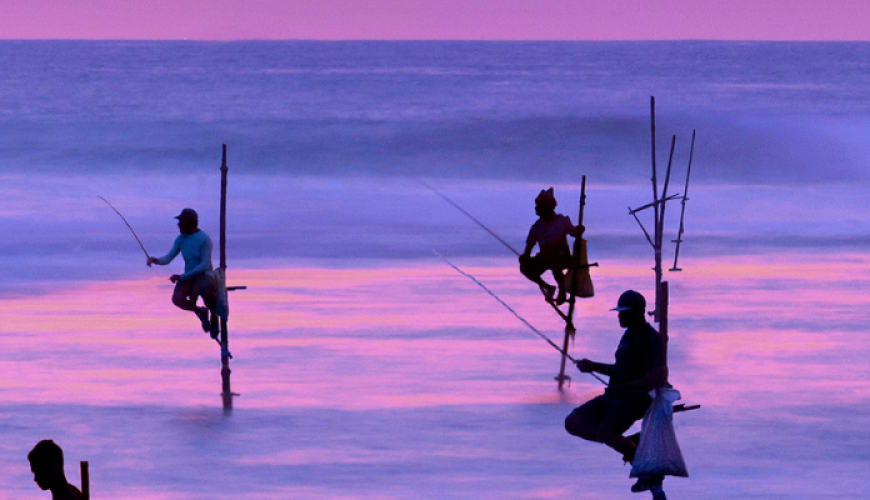 Best Time to Visit Sri Lanka