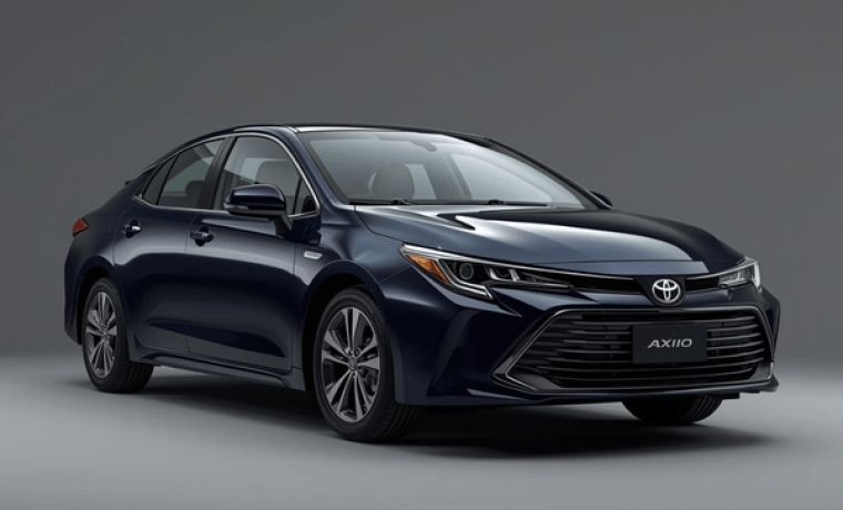 Toyota Axio Standard Car with Guide Driver  –  Tea Trails