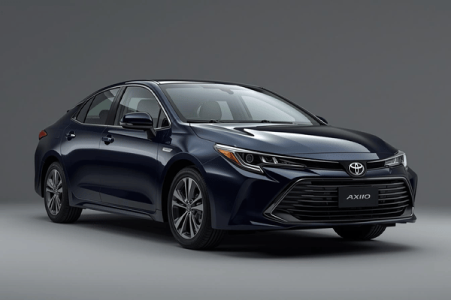 Toyota Axio Standard Car with Guide Driver  –  Tea Trails