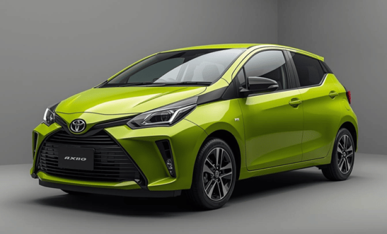 Toyota Axio Standard Car with Guide Driver – LK Parrot Journeys