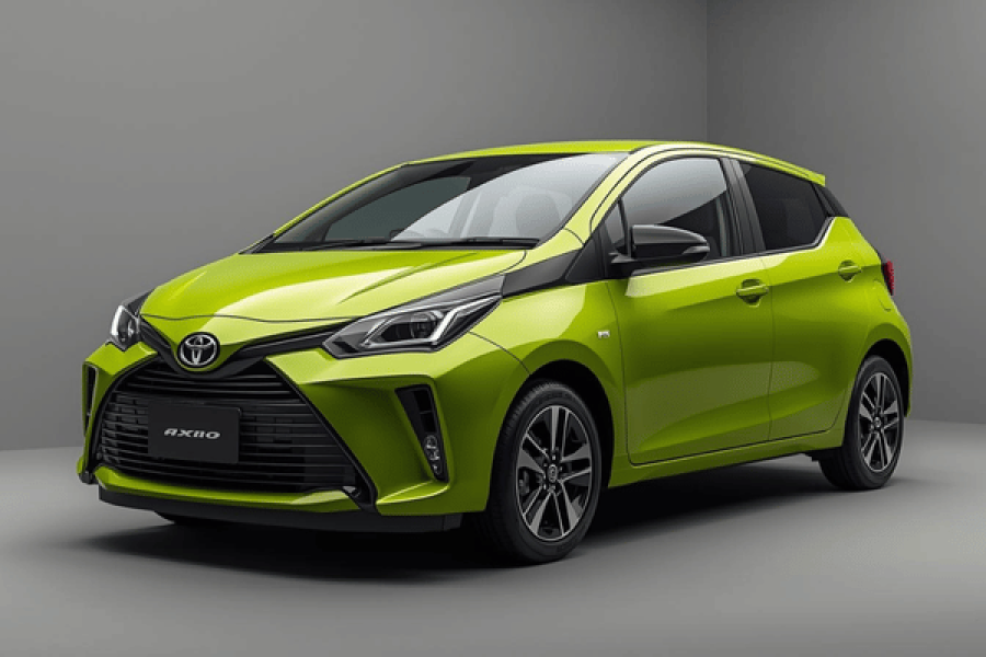 Toyota Axio Standard Car with Guide Driver – LK Parrot Journeys