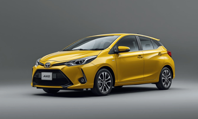 Toyota Axio Standard Car with Guide Driver  –  Travel With Anne