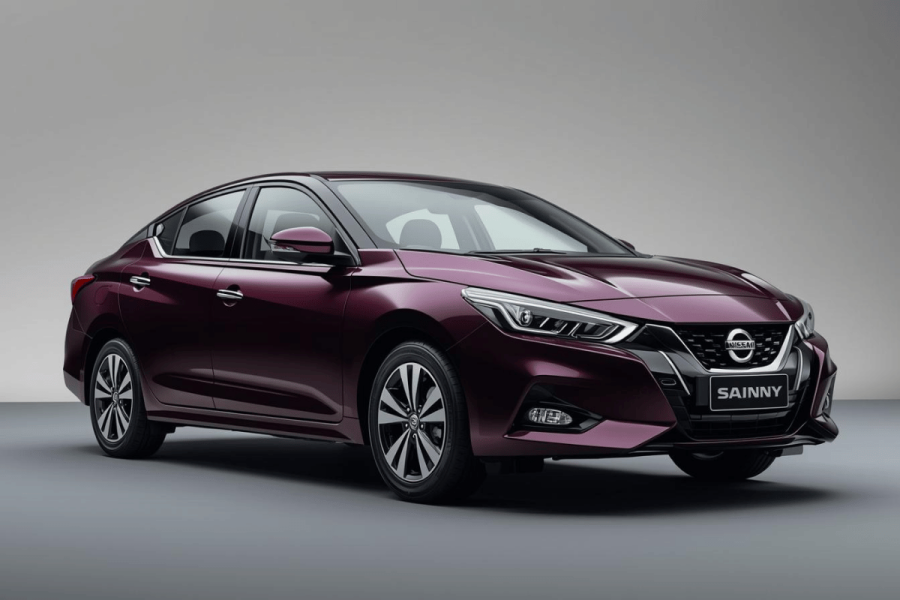 Nissan Sunny Standard Car with Guide Driver – Travel With Anne