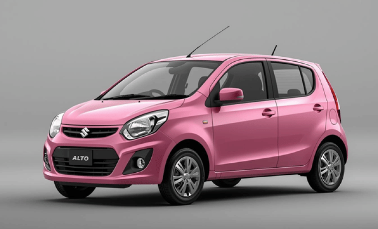 Suzuki Alto Mini Car with Guide Driver  –  Green Canopy Nature Tours