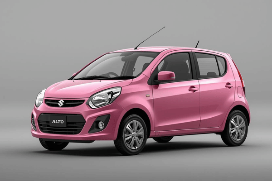 Suzuki Alto Mini Car with Guide Driver  –  Green Canopy Nature Tours