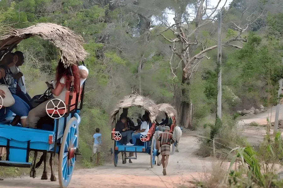 Sigiriya Kandy Ella Yala cultural wildlife tour Sri Lanka
