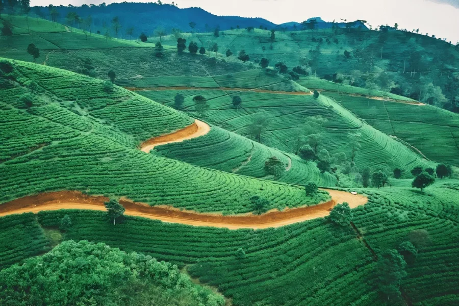 Comprehensive Sri Lankan Adventure