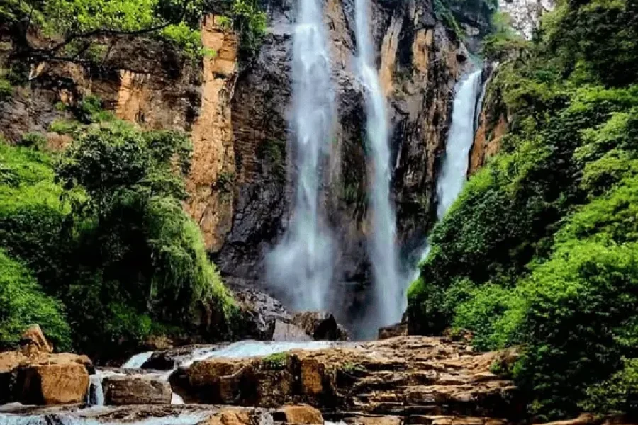 Kandy to Ambewela Scenic Train Experience