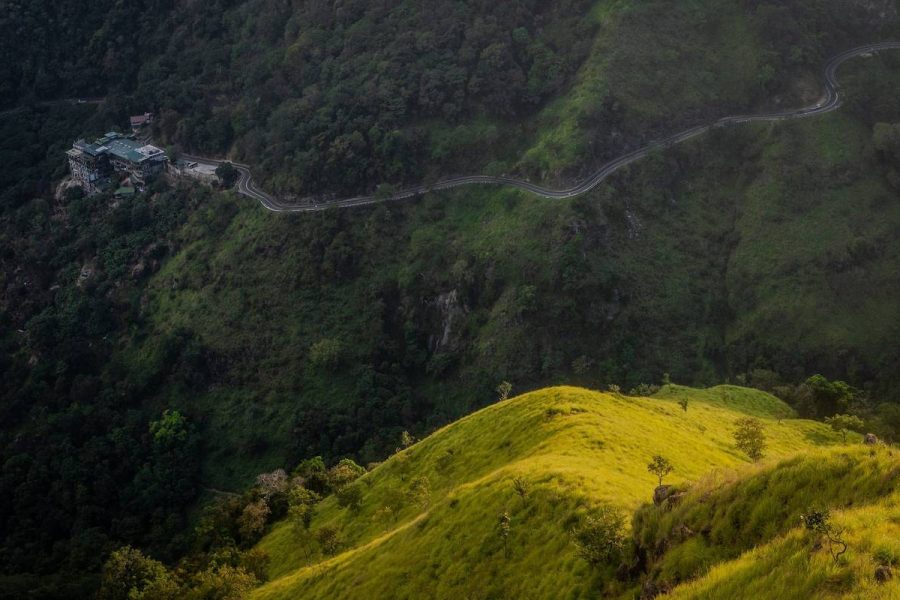 Sri Lanka cultural wildlife tour