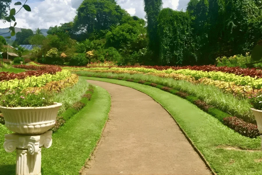 Sri Lanka Heritage Wildlife Coast Tour