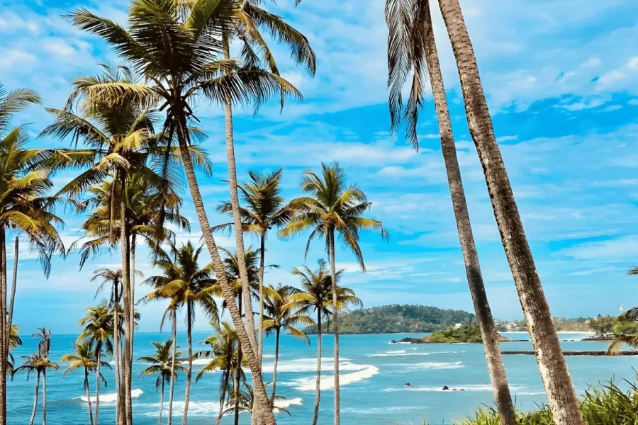 Sri Lanka heritage wildlife train tour